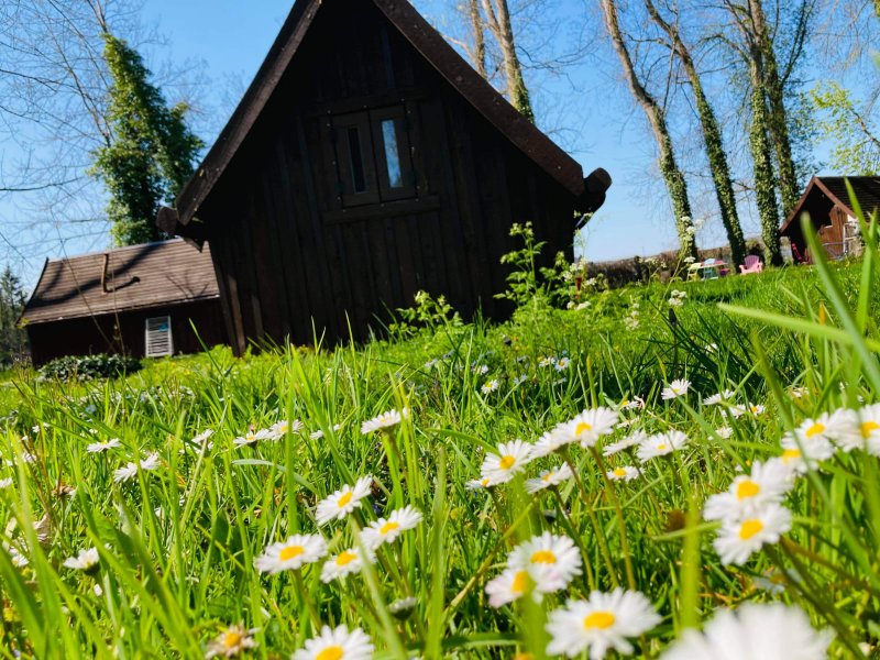Hébergement AbracadaRoom : Cabane de Troll Bivouac - Image 1