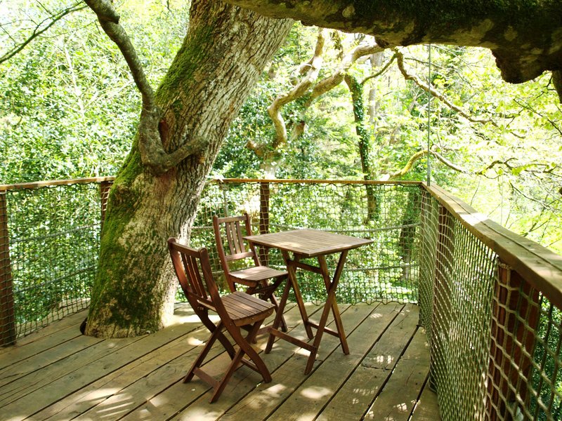 Hébergement AbracadaRoom : Cabane Jonquille - Image 5