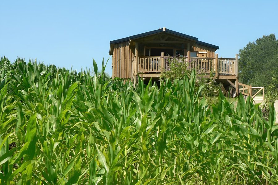 La Cabane Du Trappeur - Aisne