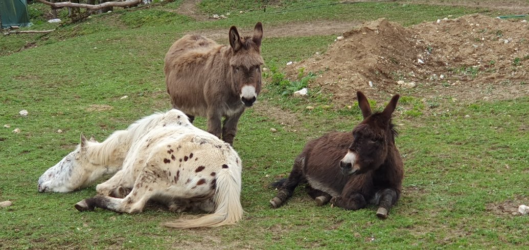 Domaine AbracadaRoom : Les terrasses des Esseroliettes - Image 6