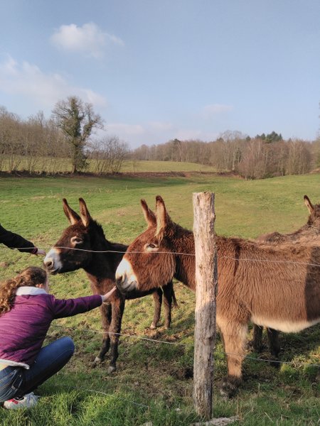 Domaine AbracadaRoom : L'Etoile Perchée - Image 4
