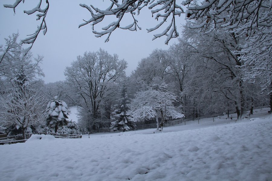 Domaine AbracadaRoom : Au Bois d'Escoumos - Image 15