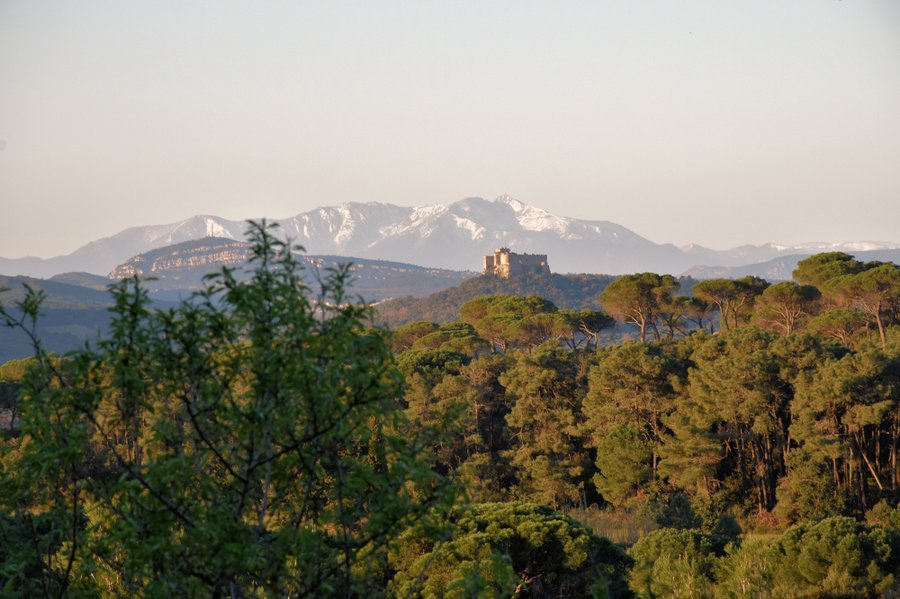 Domaine AbracadaRoom : Ushuaïa Village Figurotta - Image 3