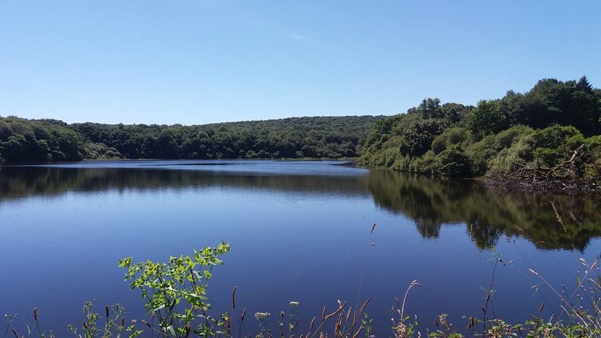 Domaine AbracadaRoom : Les Forges des Salles - Image 5
