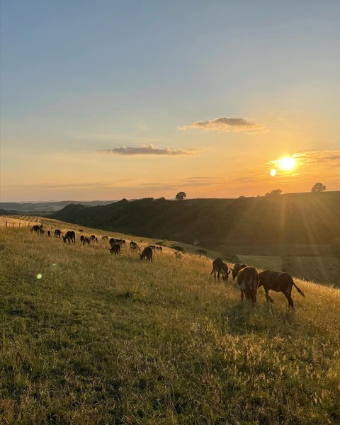Domaine AbracadaRoom : Hitton Séjours Nature - Image 10