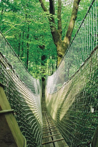 Hébergement AbracadaRoom : Cabane Sous-Bois - Image 3