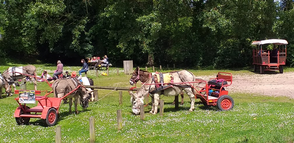Hébergement AbracadaRoom : Château médiéval - Image 8