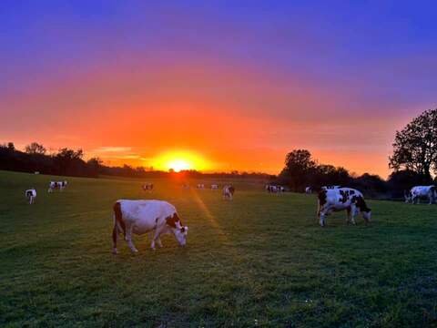 Hébergement AbracadaRoom : Les Logettes de Caroline, Ecolodge & Bain Nordique - Image 55