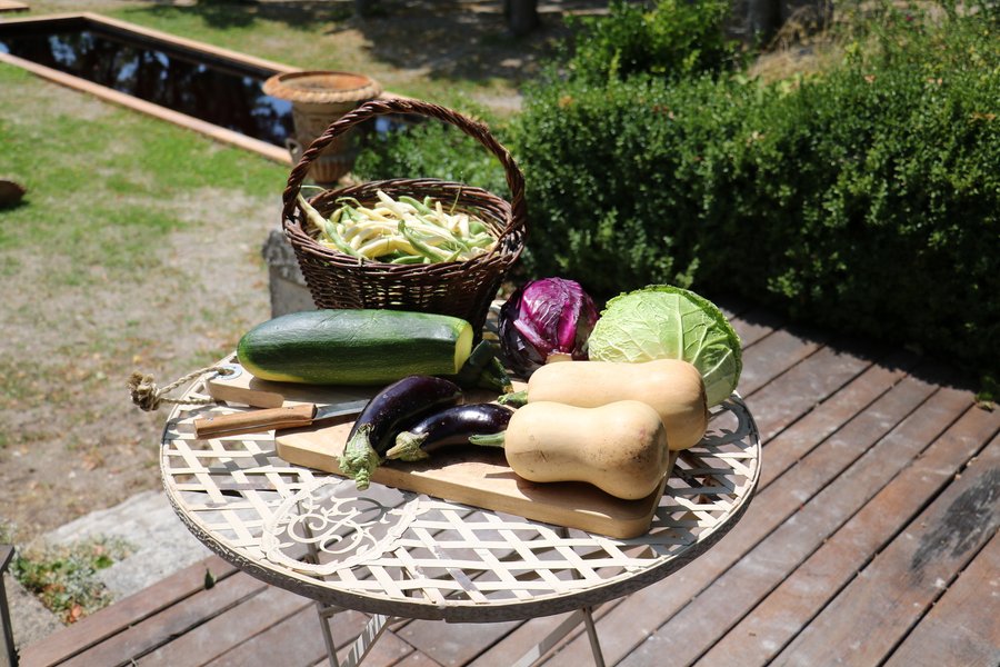 Domaine AbracadaRoom : Les Toiles de La Tortillère - Image 17