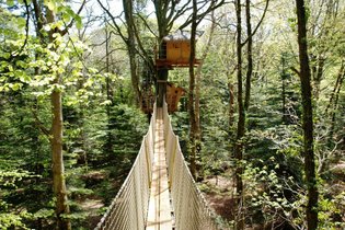 Cabane dans les arbres Finistère