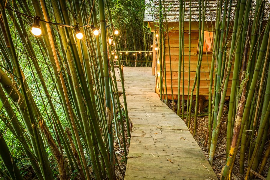 Hébergement AbracadaRoom : La Cabane des Bambous - Image 2