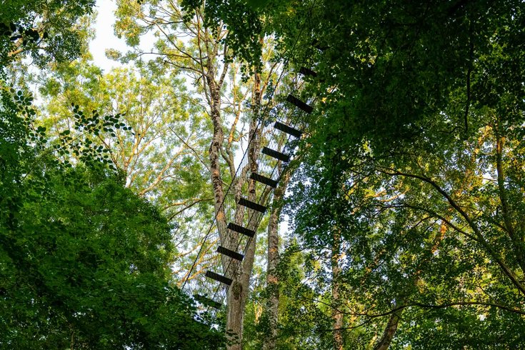 Hébergement AbracadaRoom : Cabane Epervier - Image 3