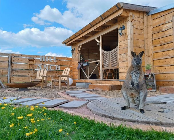 Hébergement AbracadaRoom : Expérience unique et insolite : Far West & Wallaby - Image 1