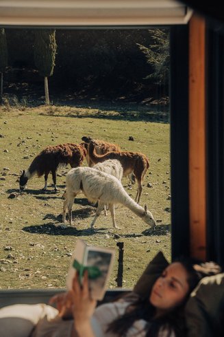 Domaine AbracadaRoom : Parcel Tiny House - au pied du Mont Ventoux - Image 41