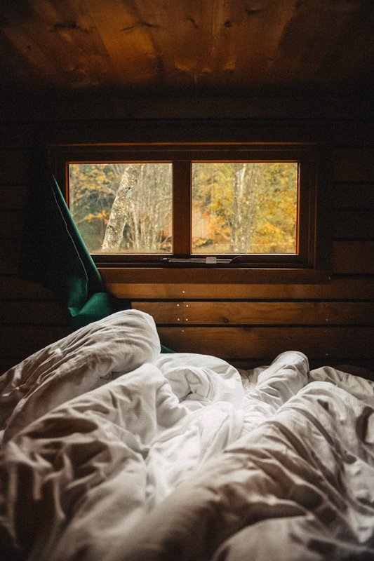 Nutchel Cabane Cosy pour 6 à Plaine (11)