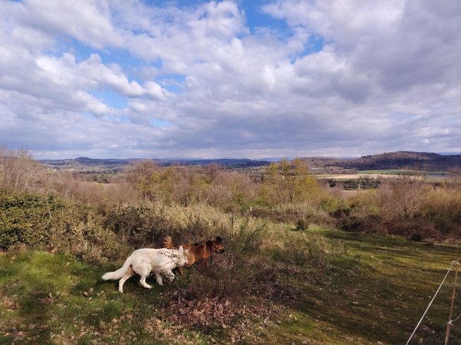 Hébergement AbracadaRoom : Tiny Pony – Dormir au milieu des chevaux jusqu' à 5 personnes - Image 24