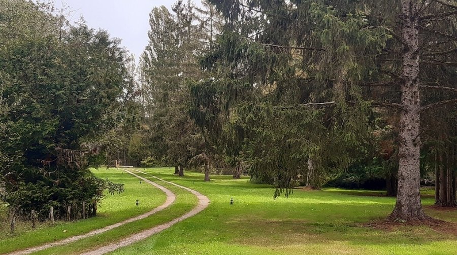 Domaine AbracadaRoom : The Simple Life - Image 3