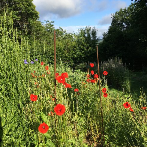 Domaine AbracadaRoom : Les Jardins d'Yzorche - Image 3