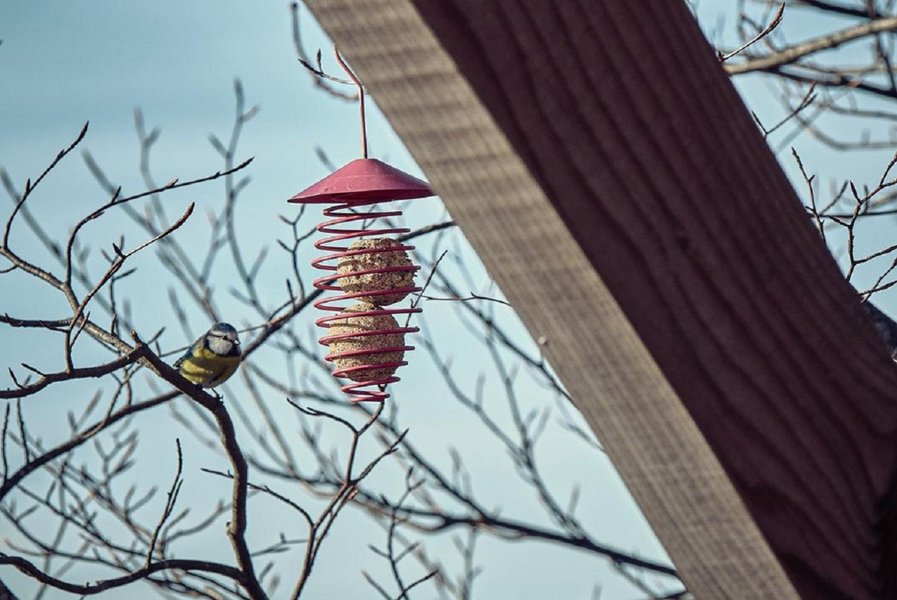 Hébergement AbracadaRoom : Cabane Spa Mésange - Image 23