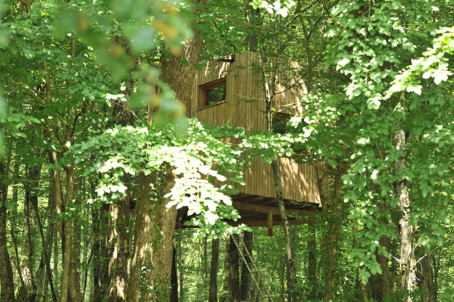 Hébergement AbracadaRoom : Cabane Ecureuil - Image 5