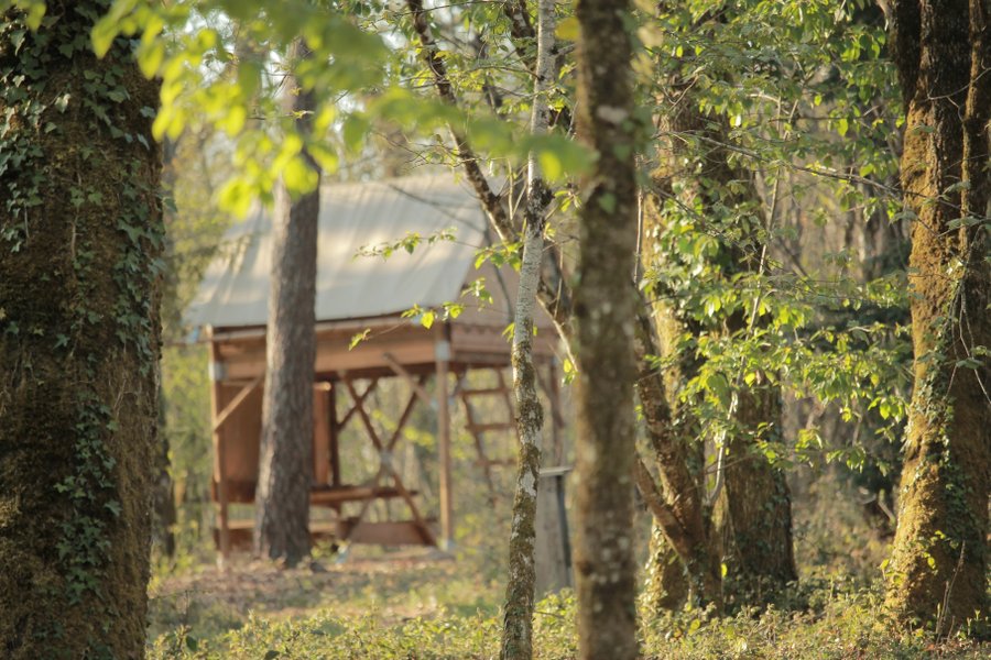 Domaine AbracadaRoom : Ô Bois Dormant - Image 5