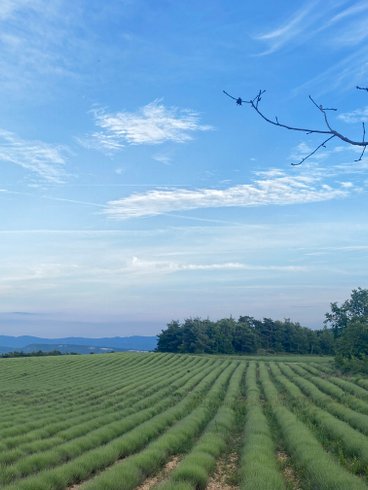 Domaine AbracadaRoom : Homnest (Viens) - Image 8