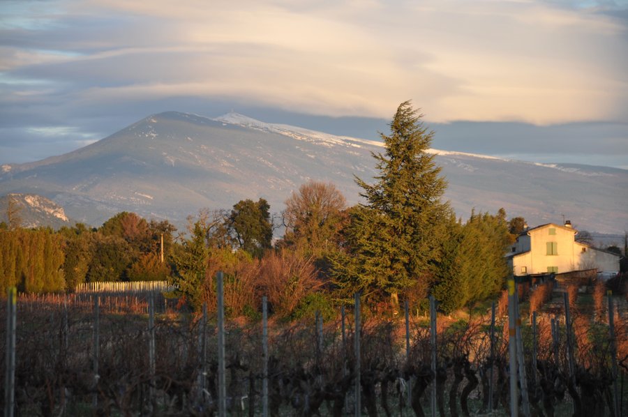 Domaine AbracadaRoom : Nid'Oiselet - Image 1