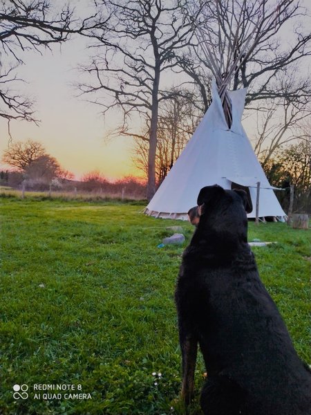 Hébergement AbracadaRoom : TIPI CHEYENNE - Image 4
