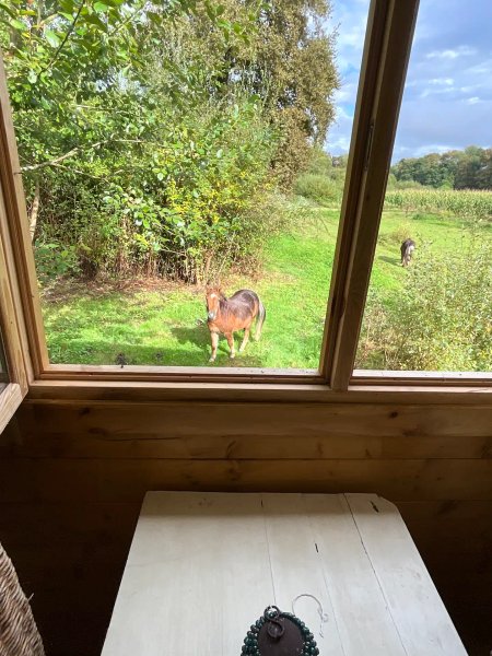 Hébergement AbracadaRoom : Coco bohème - Image 7