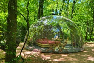 Bulle prestige - Royaume des sons