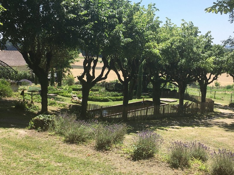 Domaine AbracadaRoom : Les Toiles de La Tortillère - Image 4