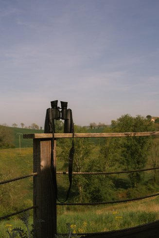 Hébergement AbracadaRoom : Le Terrier & Spa - Domaine Langelet , Escapade insolite  35 min Toulouse - Image 17