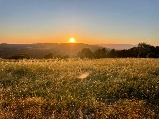 Domaine AbracadaRoom : Le nid en Provence - Image 5