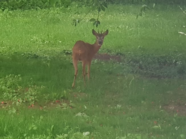 Domaine AbracadaRoom : Le Domaine des Anges - Image 13