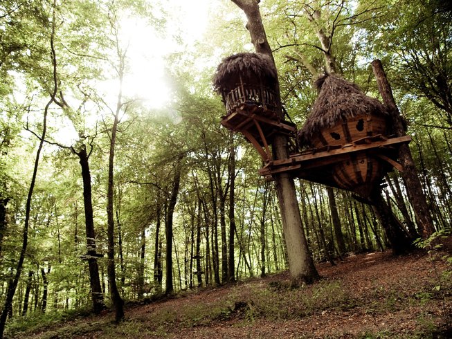 Domaine AbracadaRoom : L'Arbre à Cabane - Image 5