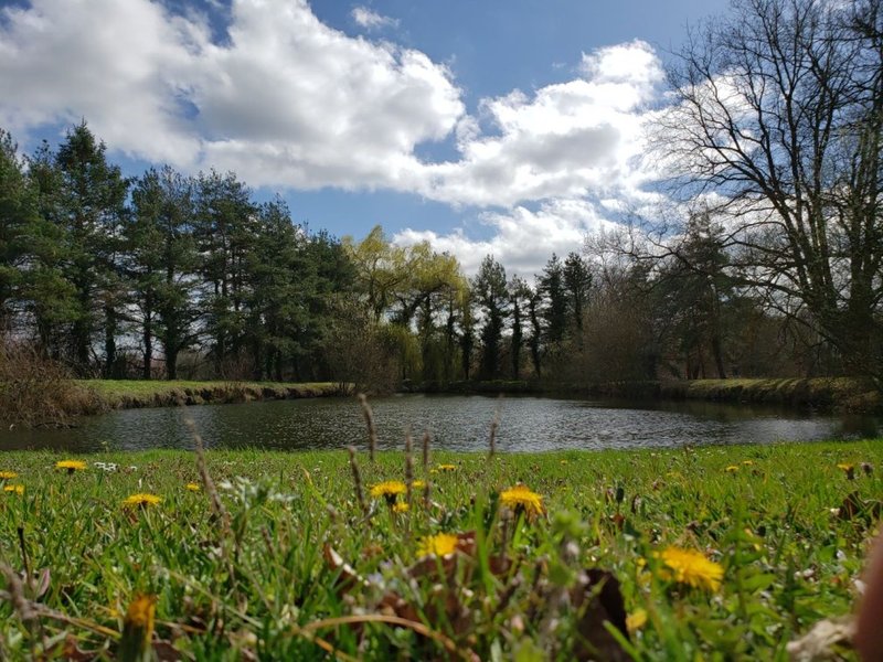 Domaine AbracadaRoom : Three Willows - Image 8