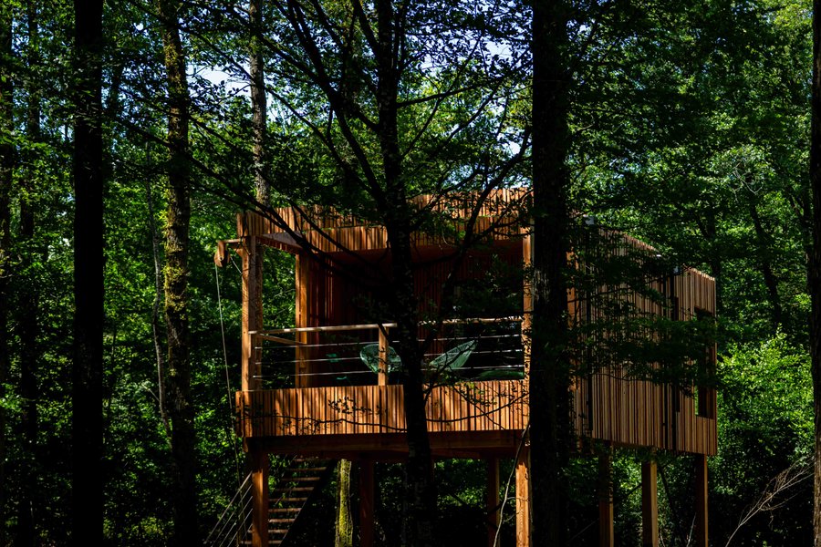 Suite « Ride my Bike » & Spa — photo 2