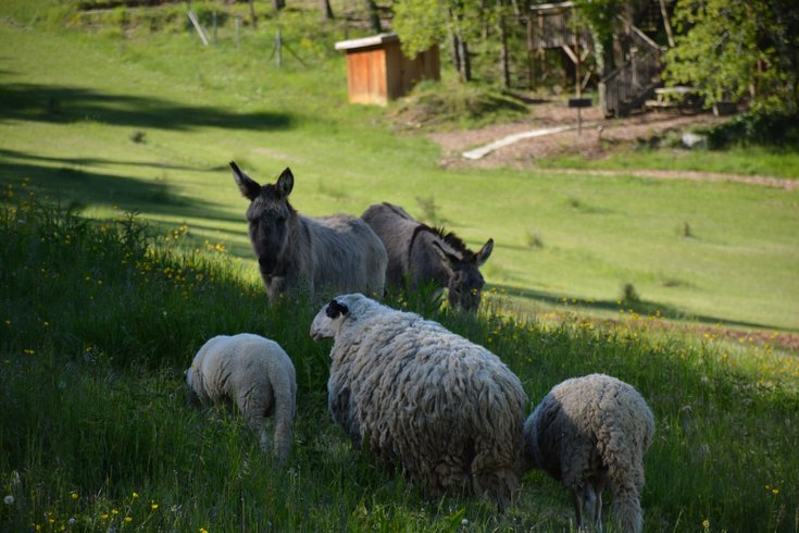 Domaine AbracadaRoom : Les Cabanes de Jeanne - Image 5