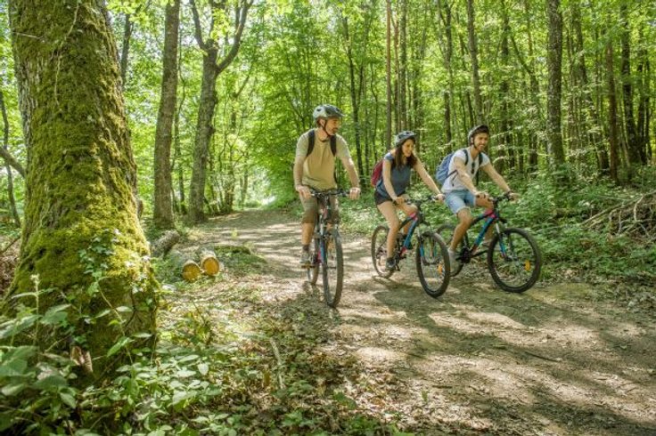 Domaine AbracadaRoom : L'Etape en Forêt - Image 6