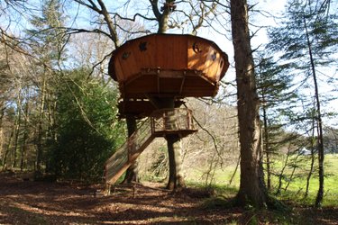 Cabane Jonquille à Cléder (1)