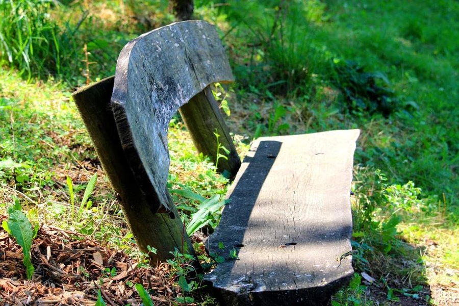 Hébergement AbracadaRoom : La cabane végétalisée pour les familles - Image 4