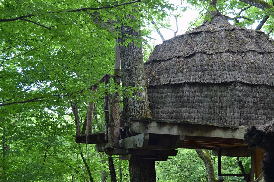 Hébergement AbracadaRoom : Cabane Canopée - Image 2