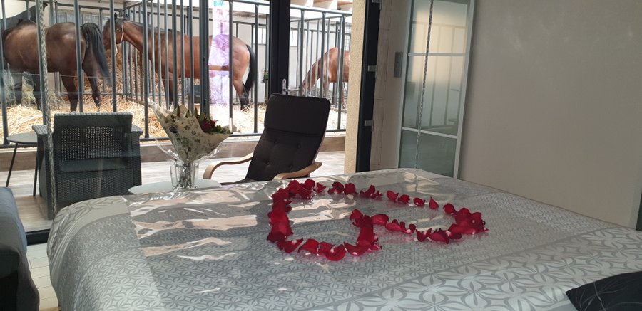 Domaine AbracadaRoom : Equi-lodges - Image 26