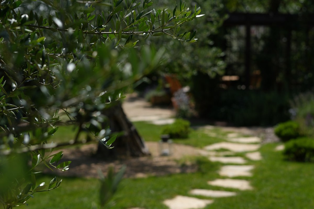 Santolina Etrusca Suite Rez de jardin à Rouffach (28)