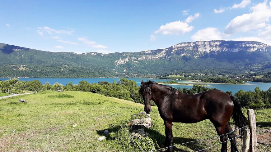 Domaine AbracadaRoom : West Adventure - Wyoming Lodge - Luxe & SPA - Lac d'Aiguebelette - Image 32