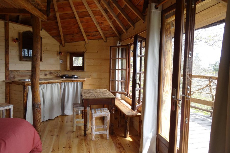 La Cabane des Fayards — photo 2