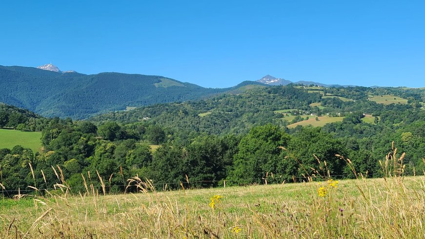 Domaine AbracadaRoom : Yourte Pyrénées - Image 7