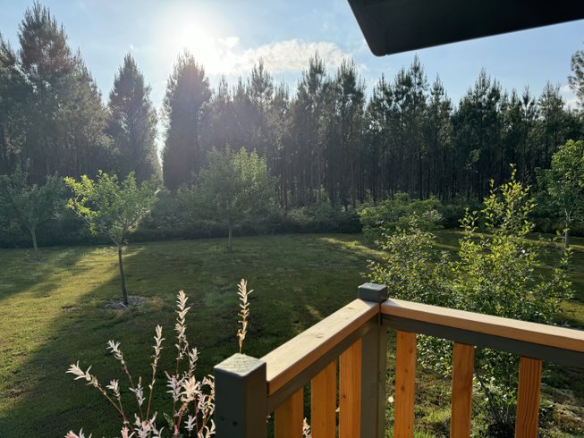 Hébergement AbracadaRoom : La Roulotte Findhorn - Image 2