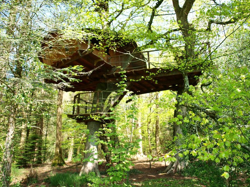 Hébergement AbracadaRoom : Cabane Jonquille - Image 3