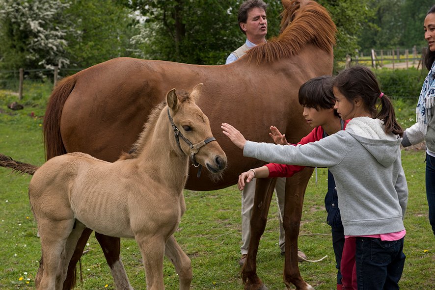 Hébergement AbracadaRoom : Goutte d'eau 2 - Image 20